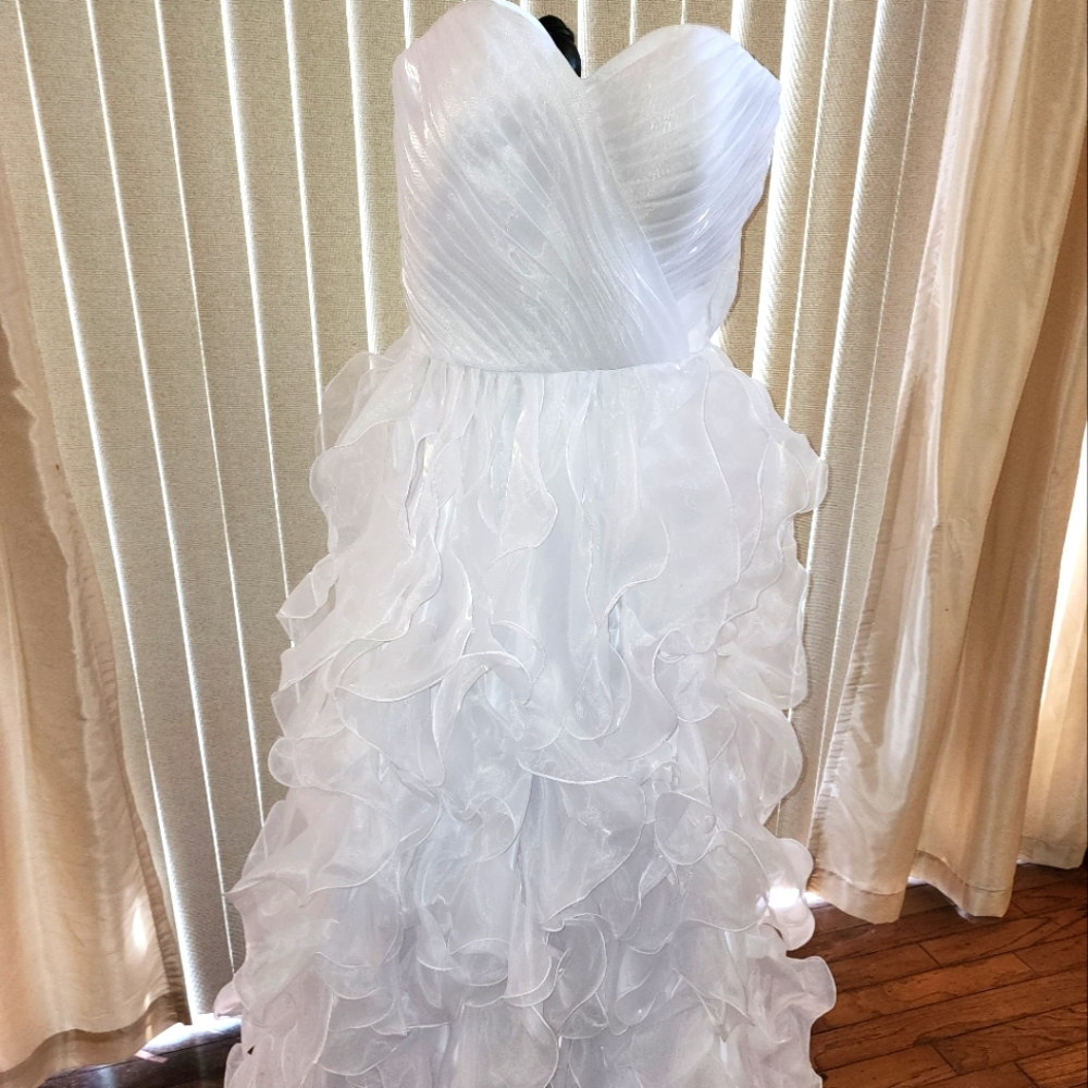 Cocktail or Wedding Dress